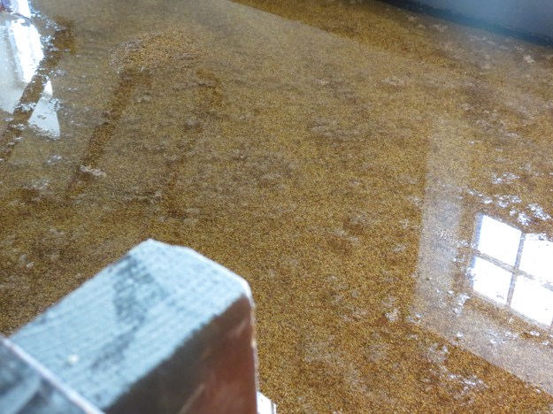 Barley steeped in water