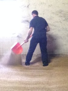 turning the drying malt where the machine doesn't reach bowmore_turning_malt_at_end_of_room