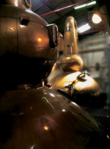 Old Pulteney Stills