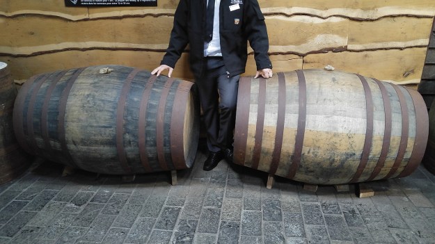 european oak vs spanish oak